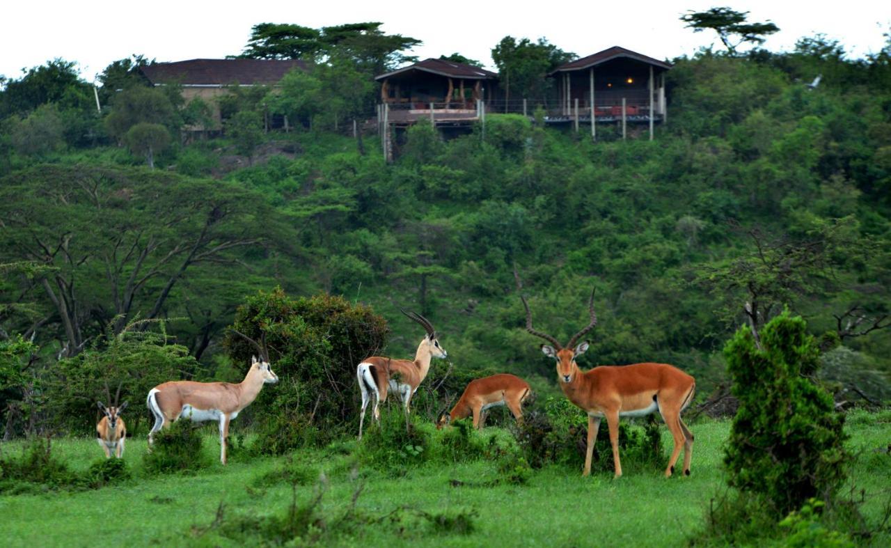 Saruni Eagle View Hotel Naboisho ภายนอก รูปภาพ